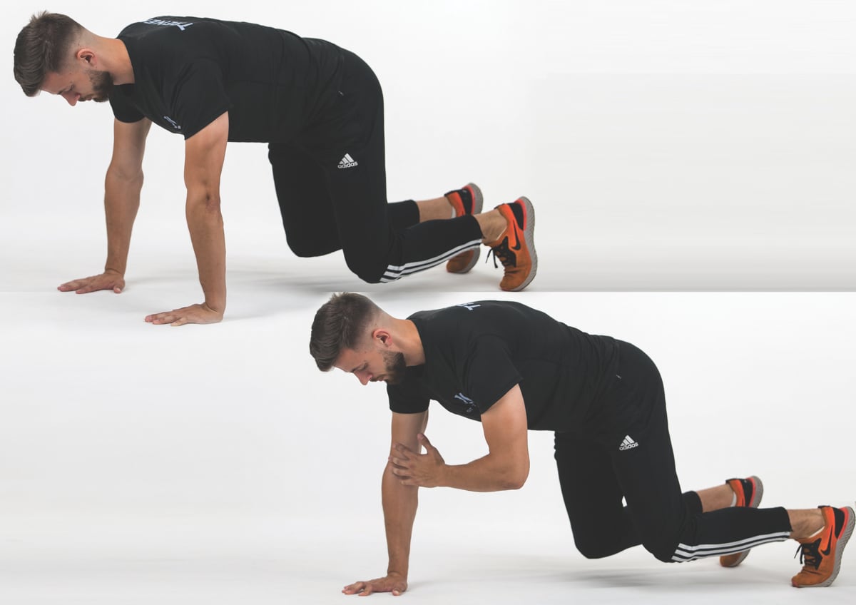 Bear Crawl Elbow Tap