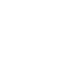 GT Strefa Trenera logo